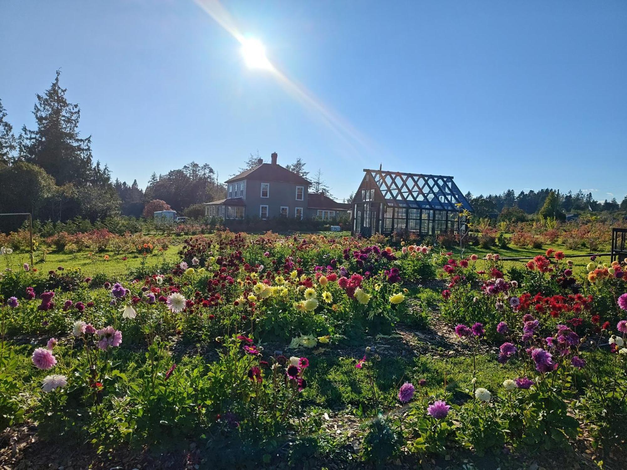 Woodside Farm Country Inn Sooke Zewnętrze zdjęcie