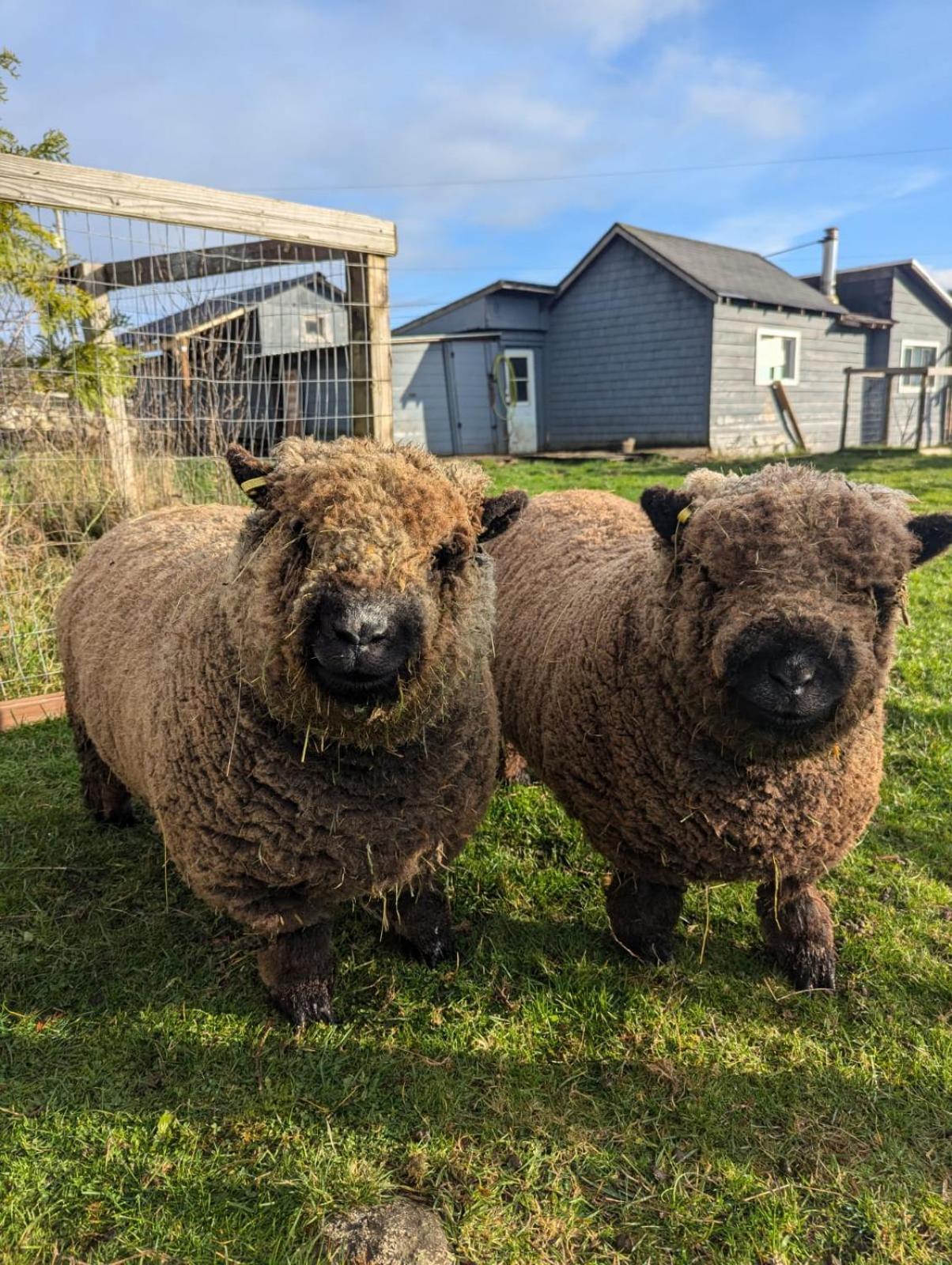 Woodside Farm Country Inn Sooke Zewnętrze zdjęcie